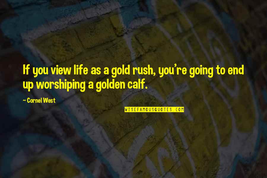 Rush Of Life Quotes By Cornel West: If you view life as a gold rush,