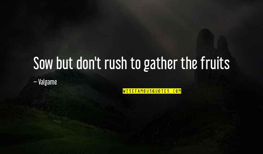 Rush Of Life Quotes By Valgame: Sow but don't rush to gather the fruits