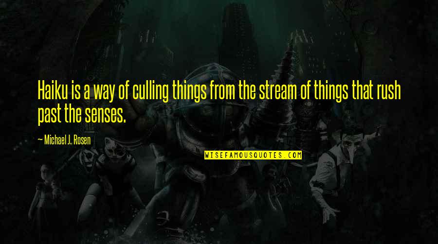 Rush Things Quotes By Michael J. Rosen: Haiku is a way of culling things from