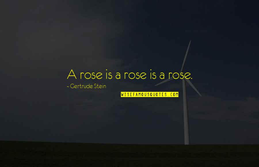 Rushcutters Bay Quotes By Gertrude Stein: A rose is a rose is a rose.