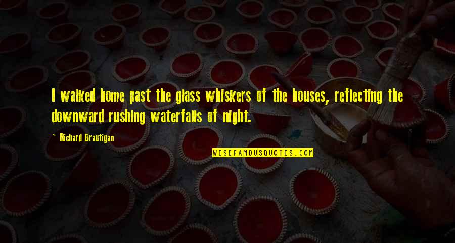 Rushing Quotes By Richard Brautigan: I walked home past the glass whiskers of