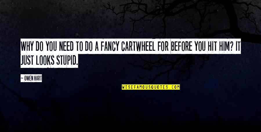 Ruskie Vaenie Quotes By Owen Hart: Why do you need to do a fancy