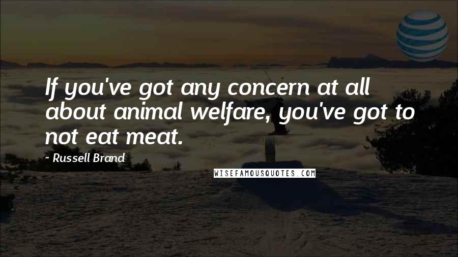 Russell Brand quotes: If you've got any concern at all about animal welfare, you've got to not eat meat.