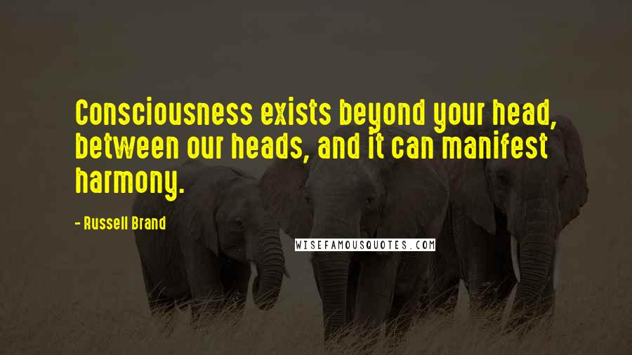 Russell Brand quotes: Consciousness exists beyond your head, between our heads, and it can manifest harmony.