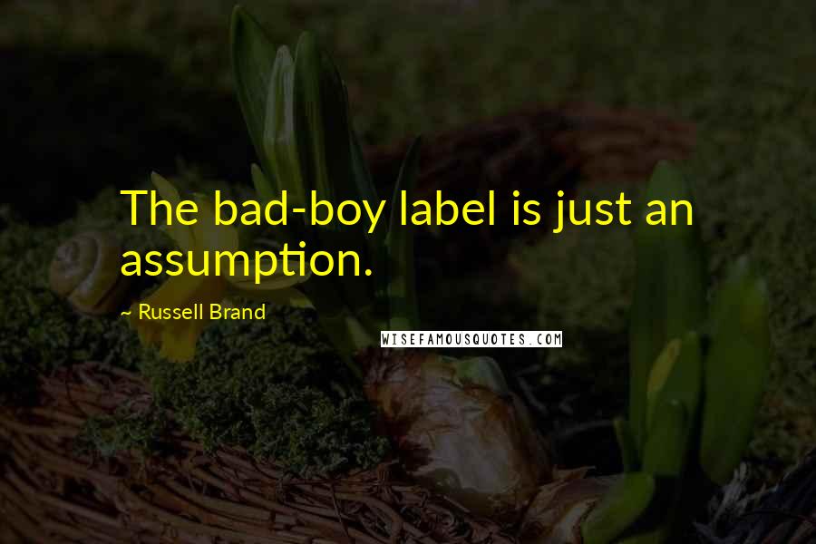 Russell Brand quotes: The bad-boy label is just an assumption.