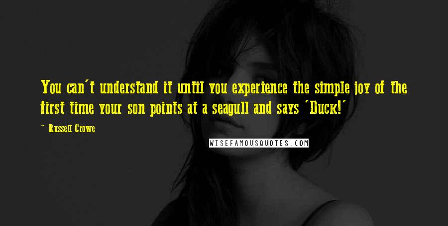 Russell Crowe quotes: You can't understand it until you experience the simple joy of the first time your son points at a seagull and says 'Duck!'