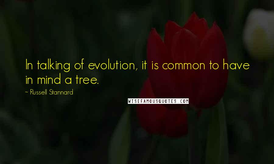 Russell Stannard quotes: In talking of evolution, it is common to have in mind a tree.