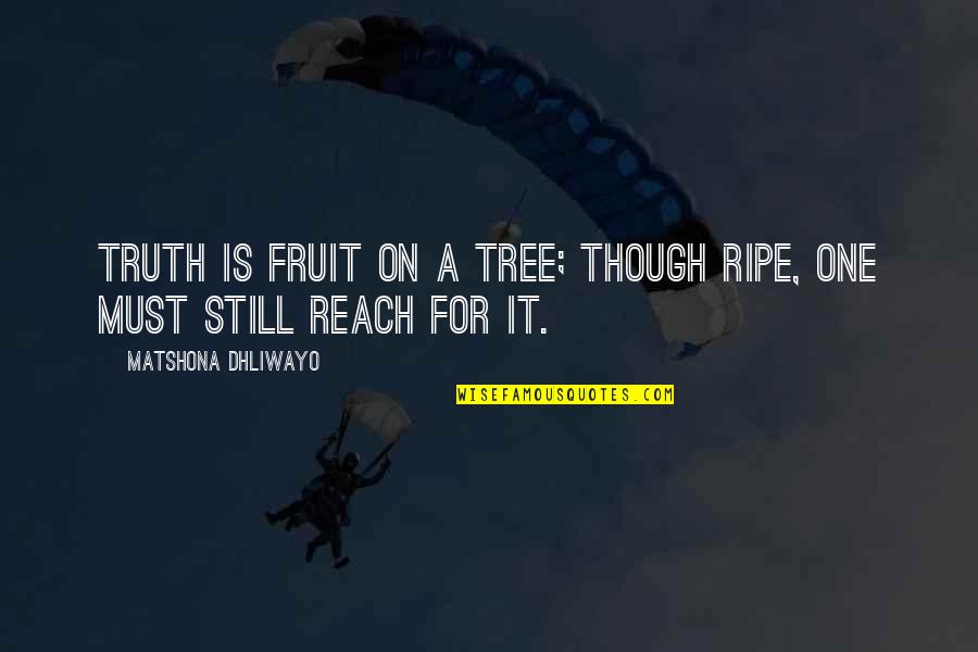 Russetfur Death Quotes By Matshona Dhliwayo: Truth is fruit on a tree; though ripe, Russetfur Death Quotes By Matshona Dhliwayo: Truth is fruit on a tree; though ripe,
