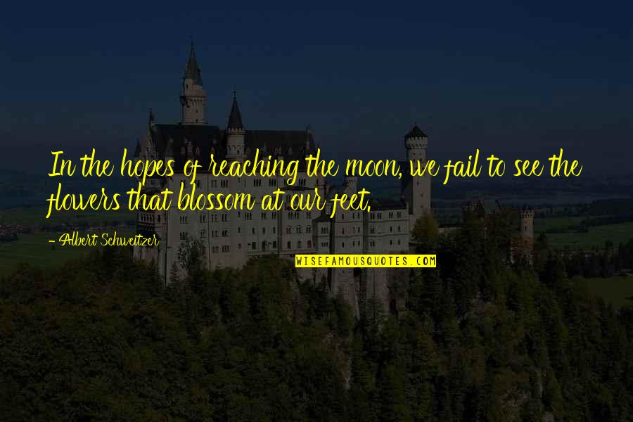 Russian Author Quotes By Albert Schweitzer: In the hopes of reaching the moon, we