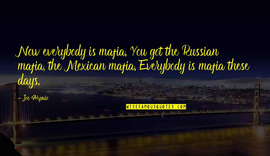 Russian Mafia Quotes By Joe Arpaio: Now everybody is mafia. You got the Russian