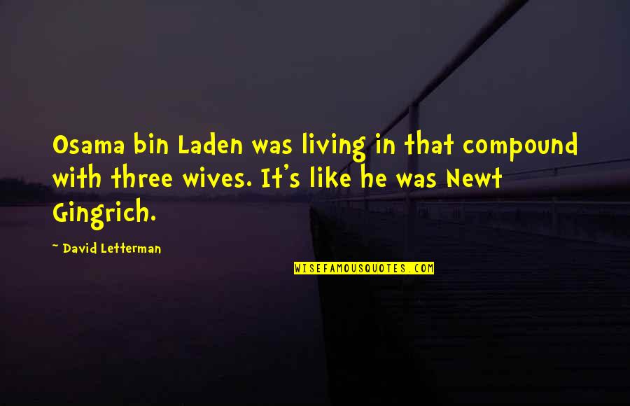 Ruszczyk Baltimore Quotes By David Letterman: Osama bin Laden was living in that compound Ruszczyk Baltimore Quotes By David Letterman: Osama bin Laden was living in that compound