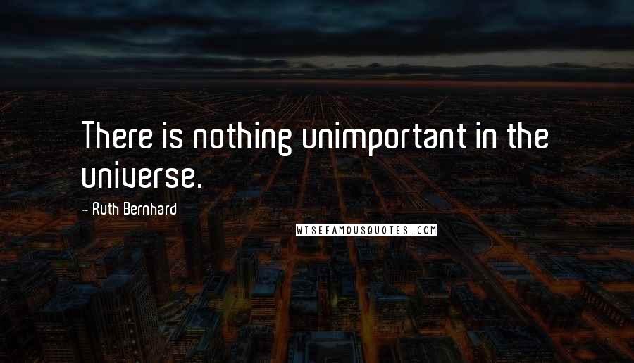 Ruth Bernhard quotes: There is nothing unimportant in the universe.