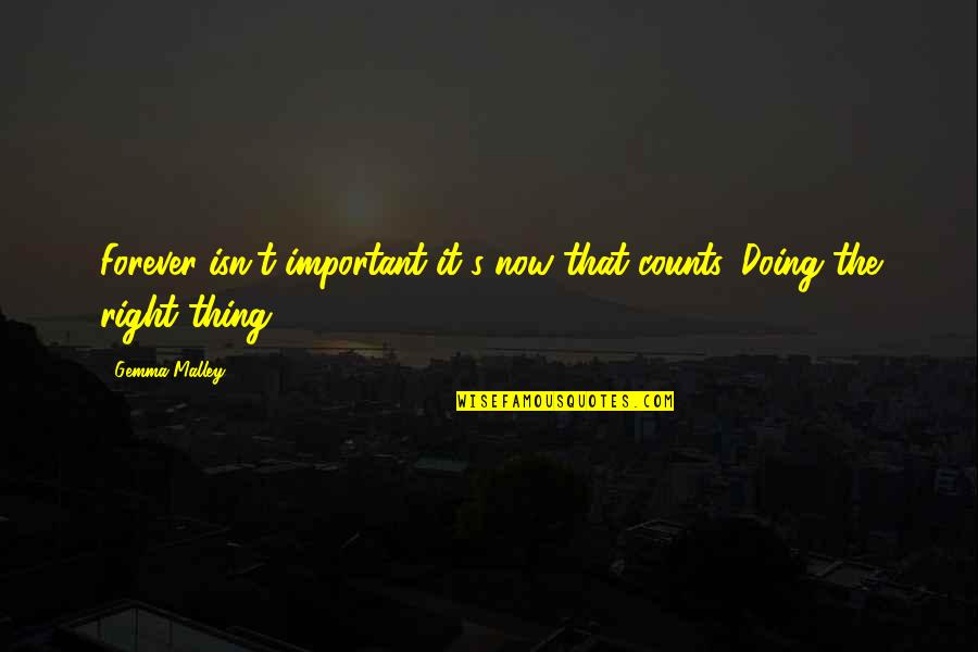 Ruthann Friedman Quotes By Gemma Malley: Forever isn't important-it's now that counts. Doing the