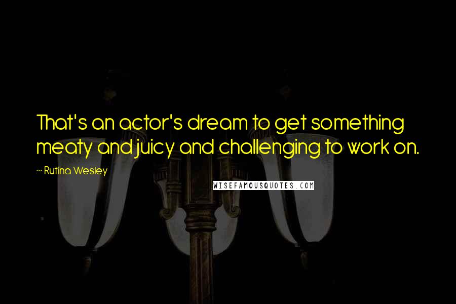 Rutina Wesley quotes: That's an actor's dream to get something meaty and juicy and challenging to work on.