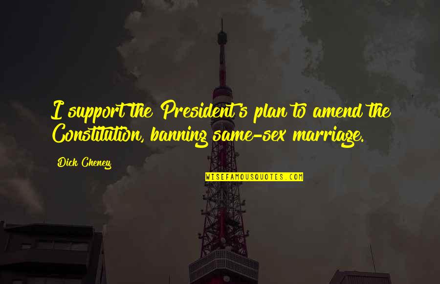 Ruviera Quotes By Dick Cheney: I support the President's plan to amend the