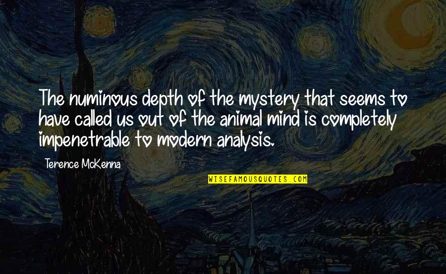 Ruzannas Chocolate Quotes By Terence McKenna: The numinous depth of the mystery that seems