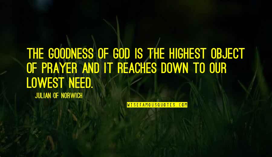 Ruzbeh Rohinton Quotes By Julian Of Norwich: The goodness of God is the highest object