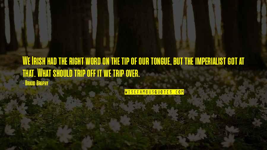 Ruzbeh Salemi Quotes By Brigid Brophy: We Irish had the right word on the Ruzbeh Salemi Quotes By Brigid Brophy: We Irish had the right word on the