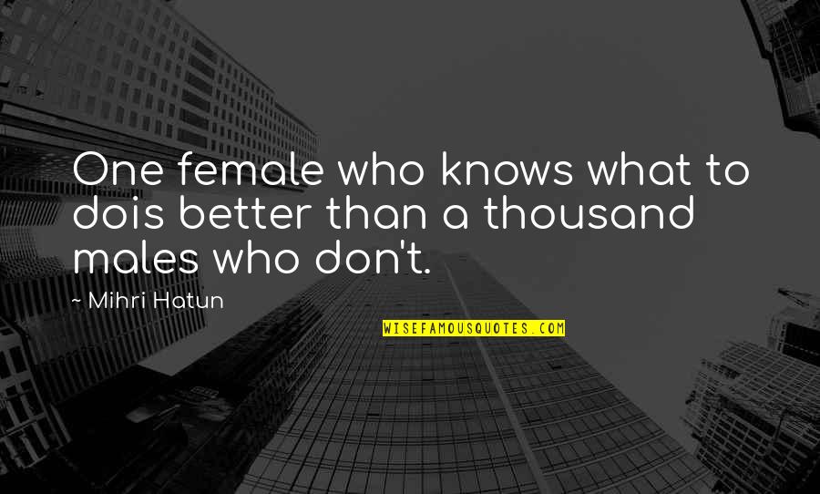 Ruzicka Quotes By Mihri Hatun: One female who knows what to dois better