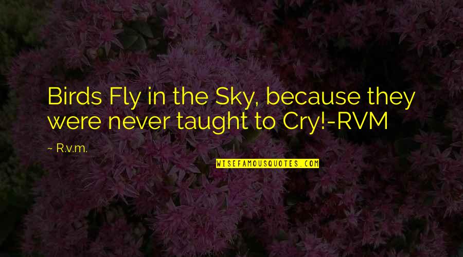 Rvm Inspirational Quotes By R.v.m.: Birds Fly in the Sky, because they were