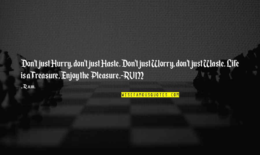 Rvm Inspirational Quotes By R.v.m.: Don't just Hurry, don't just Haste. Don't just