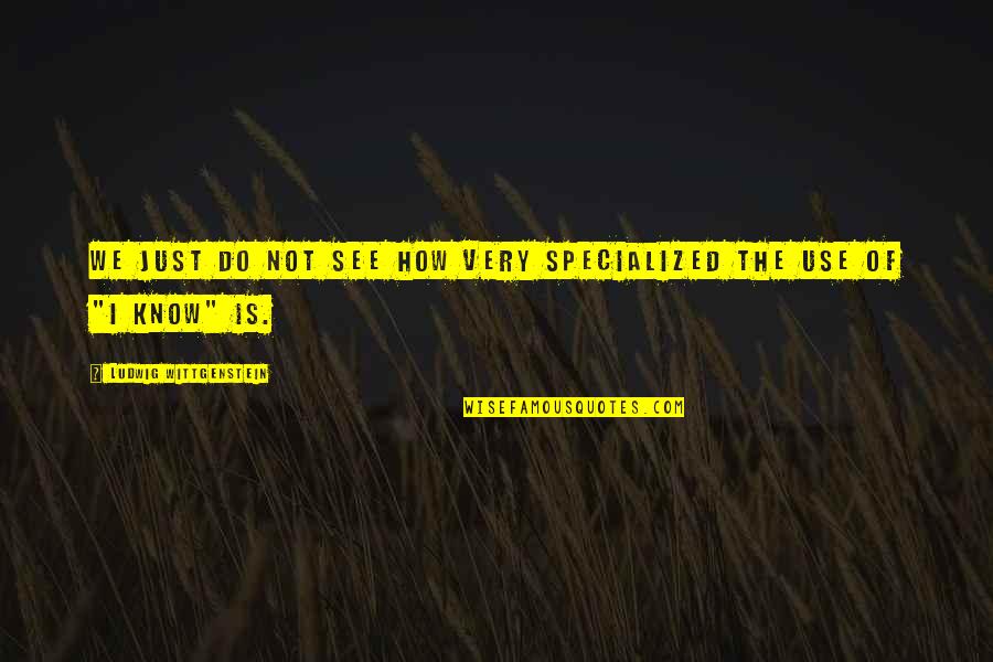 Ryams Sogns Quotes By Ludwig Wittgenstein: We just do not see how very specialized