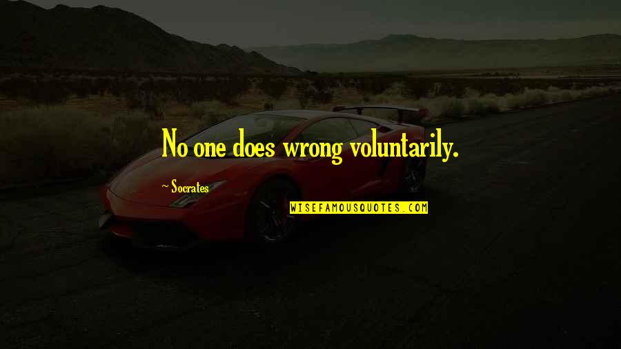 Ryan Mcginness Quotes By Socrates: No one does wrong voluntarily. Ryan Mcginness Quotes By Socrates: No one does wrong voluntarily.