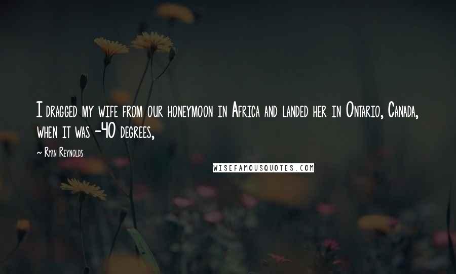 Ryan Reynolds quotes: I dragged my wife from our honeymoon in Africa and landed her in Ontario, Canada, when it was -40 degrees,