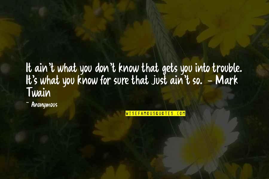 Rybicka Do Akvarka Quotes By Anonymous: It ain't what you don't know that gets
