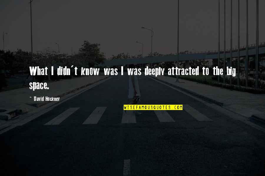 Rygen Quotes By David Hockney: What I didn't know was I was deeply Rygen Quotes By David Hockney: What I didn't know was I was deeply