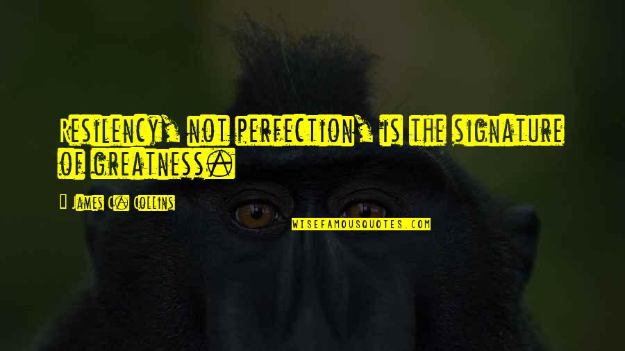 Rygh Westby Quotes By James C. Collins: Resilency, not perfection, is the signature of greatness. Rygh Westby Quotes By James C. Collins: Resilency, not perfection, is the signature of greatness.
