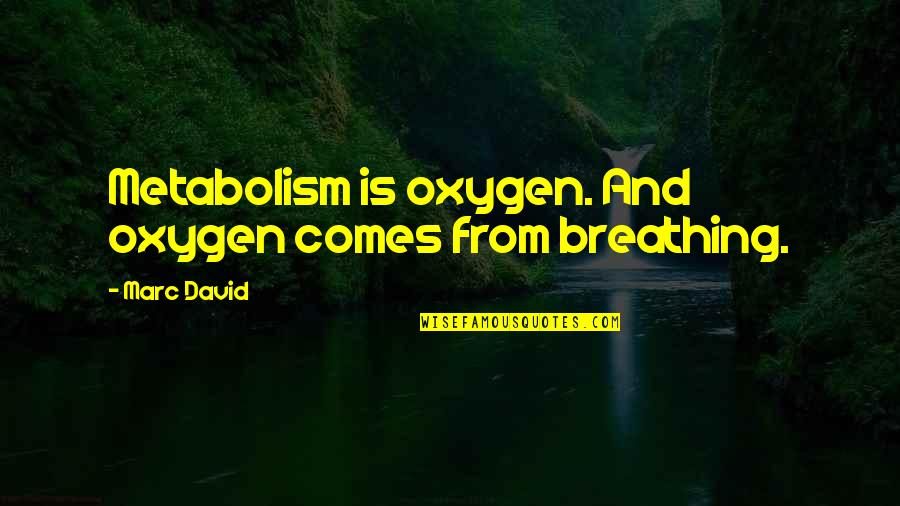 Rylai Quotes By Marc David: Metabolism is oxygen. And oxygen comes from breathing.