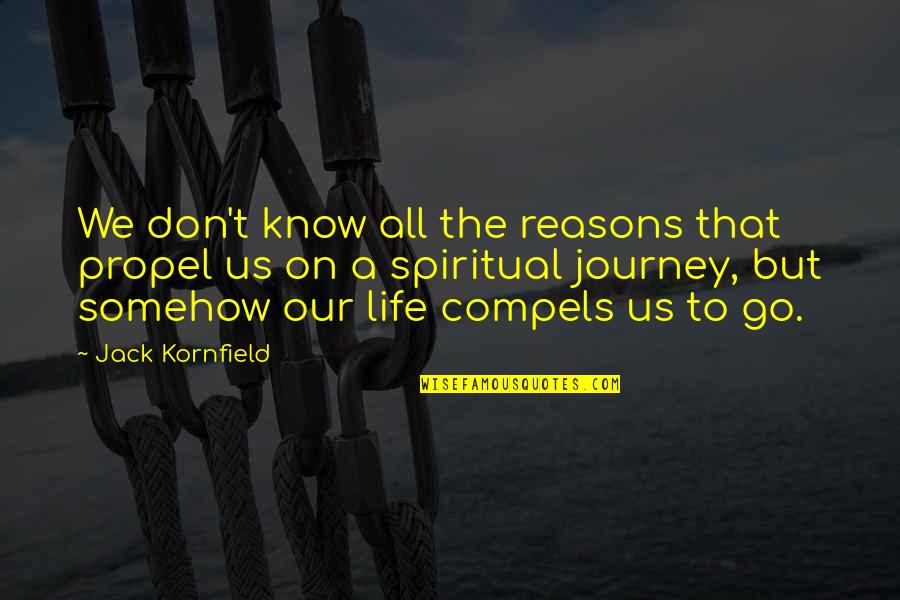 Ryle Holiness Quotes By Jack Kornfield: We don't know all the reasons that propel