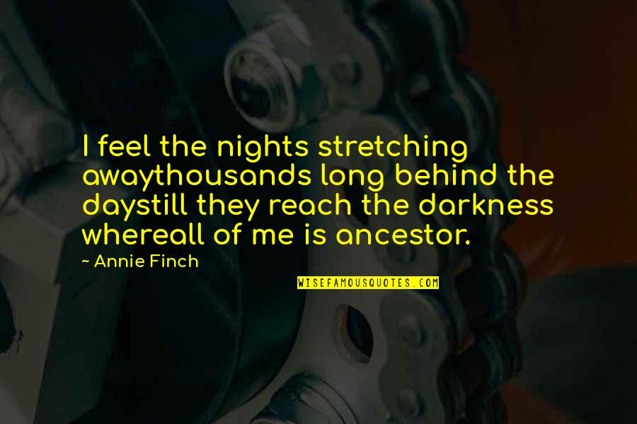 Rynos Canton Quotes By Annie Finch: I feel the nights stretching awaythousands long behind