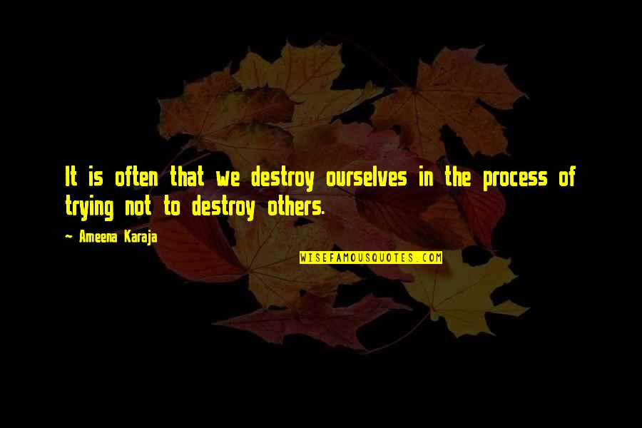Ryo Sakazaki Quotes By Ameena Karaja: It is often that we destroy ourselves in