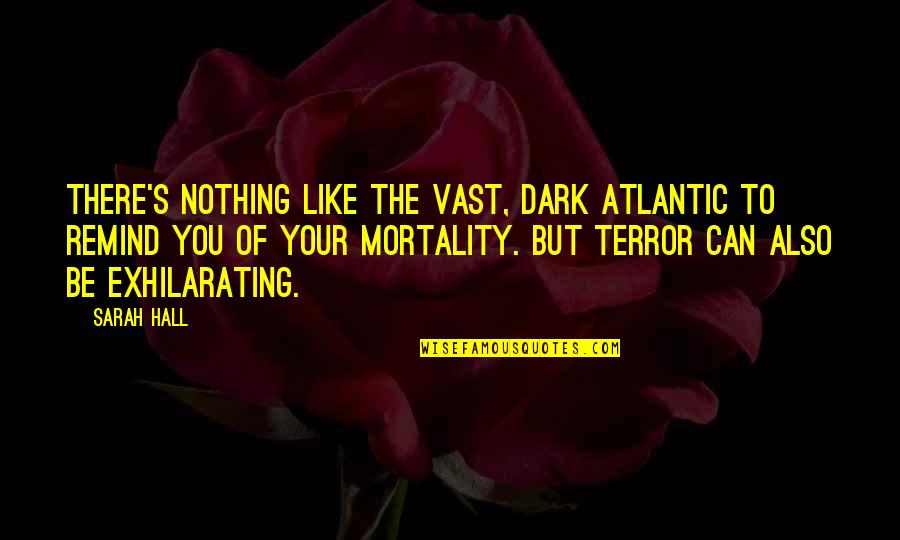 Rythme Sinusal Quotes By Sarah Hall: There's nothing like the vast, dark Atlantic to Rythme Sinusal Quotes By Sarah Hall: There's nothing like the vast, dark Atlantic to