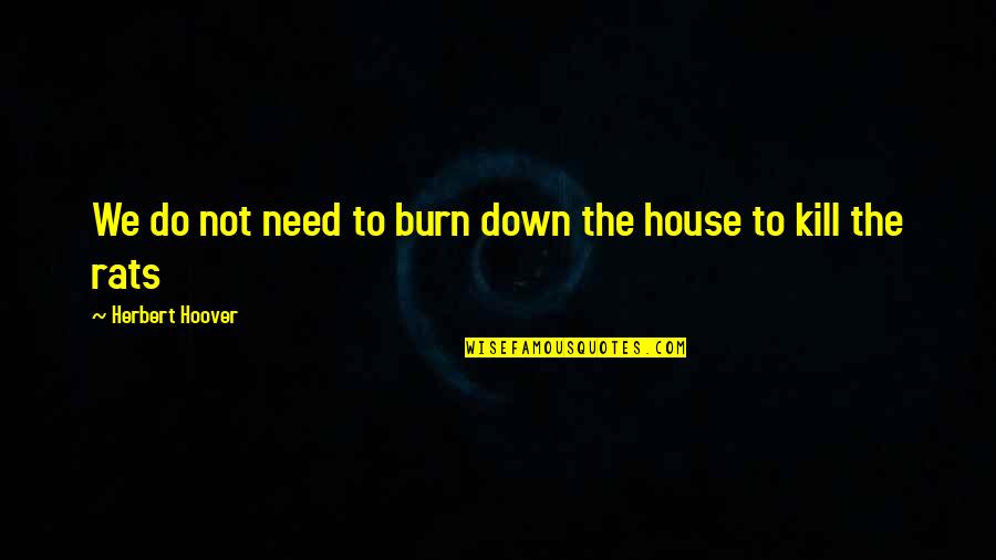 Rytlock Brimstone Quotes By Herbert Hoover: We do not need to burn down the
