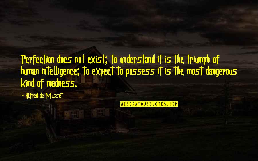 Rytterlys Quotes By Alfred De Musset: Perfection does not exist; to understand it is