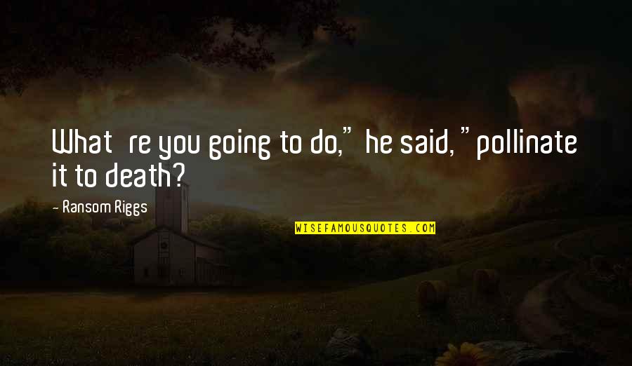 Ryu Hayabusa Ninja Gaiden Quotes By Ransom Riggs: What're you going to do," he said, "pollinate