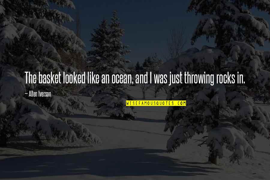 Ryusuke Hamamoto Quotes By Allen Iverson: The basket looked like an ocean, and I
