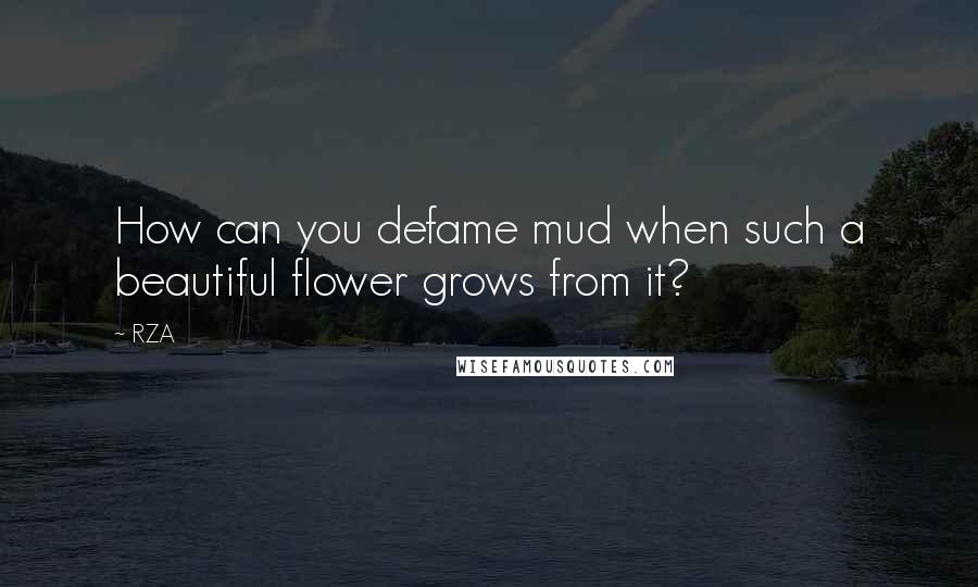 RZA quotes: How can you defame mud when such a beautiful flower grows from it?