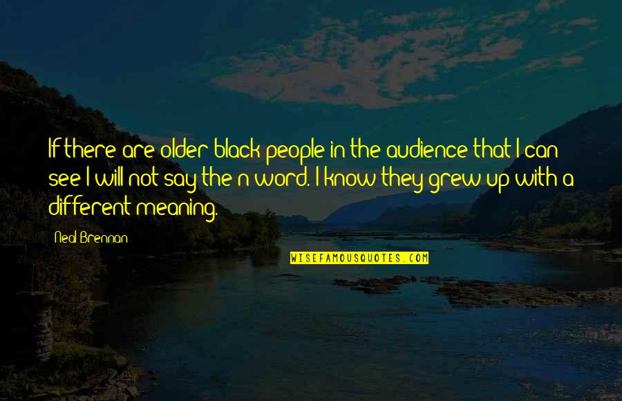 Rzucic Rap Quotes By Neal Brennan: If there are older black people in the