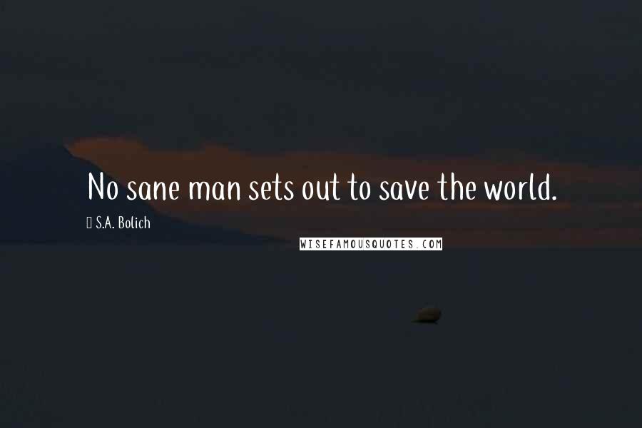 S.A. Bolich quotes: No sane man sets out to save the world.