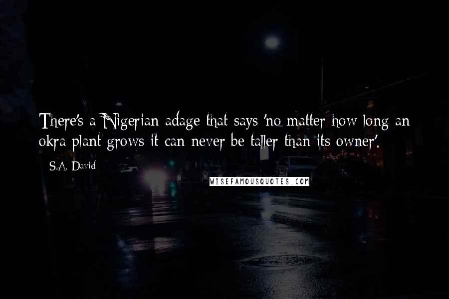 S.A. David quotes: There's a Nigerian adage that says 'no matter how long an okra plant grows it can never be taller than its owner'.