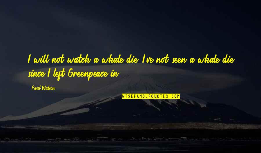 S Dlo Cena Quotes By Paul Watson: I will not watch a whale die. I've S Dlo Cena Quotes By Paul Watson: I will not watch a whale die. I've