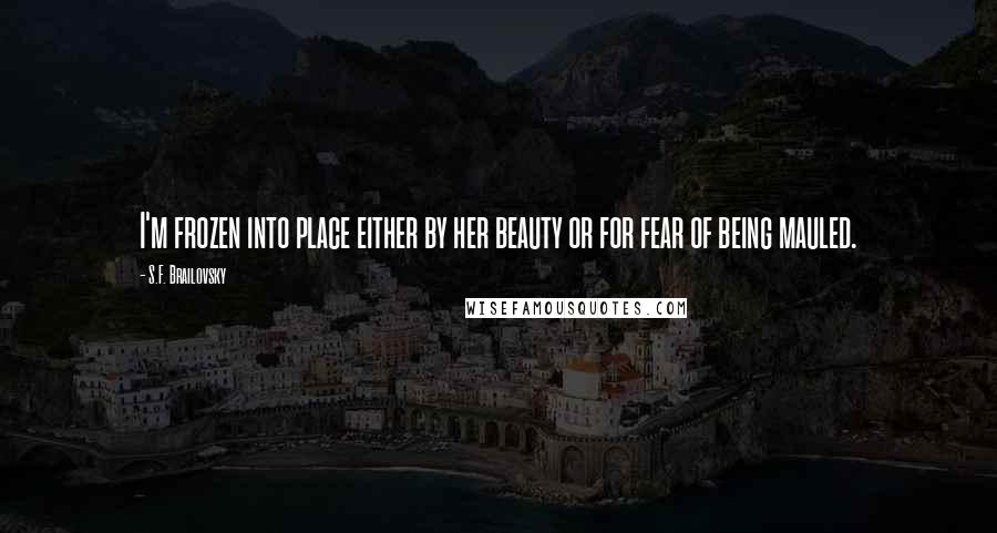 S.F. Brailovsky quotes: I'm frozen into place either by her beauty or for fear of being mauled. S.F. Brailovsky quotes: I'm frozen into place either by her beauty or for fear of being mauled.