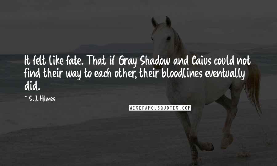 S.J. Himes quotes: It felt like fate. That if Gray Shadow and Caius could not find their way to each other, their bloodlines eventually did. S.J. Himes quotes: It felt like fate. That if Gray Shadow and Caius could not find their way to each other, their bloodlines eventually did.