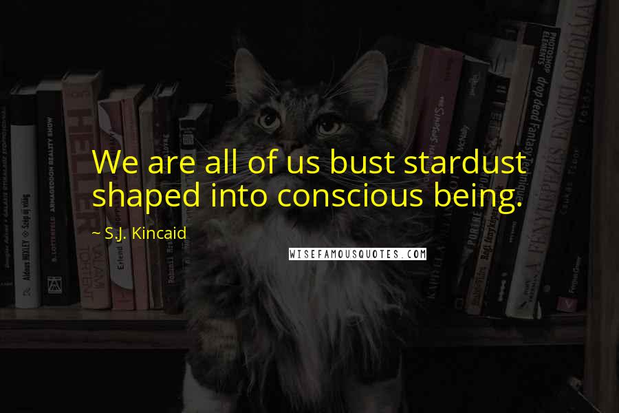 S.J. Kincaid quotes: We are all of us bust stardust shaped into conscious being.