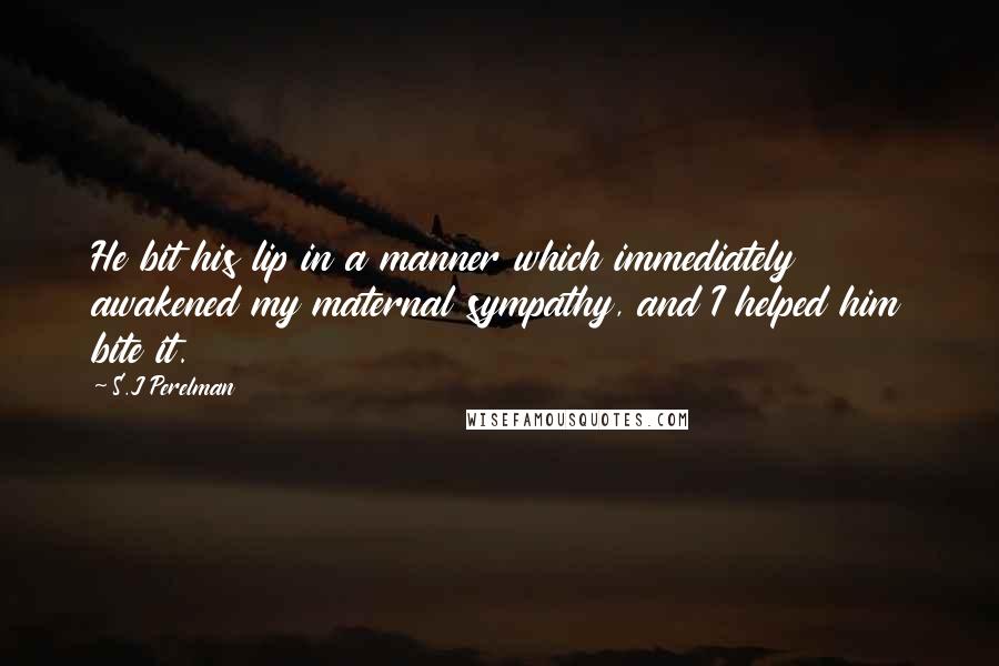 S.J Perelman quotes: He bit his lip in a manner which immediately awakened my maternal sympathy, and I helped him bite it.