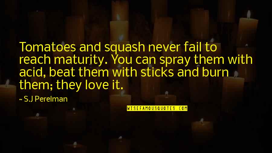 S J Perelman Quotes By S.J Perelman: Tomatoes and squash never fail to reach maturity. S J Perelman Quotes By S.J Perelman: Tomatoes and squash never fail to reach maturity.
